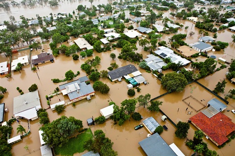 Flood picture.jpg