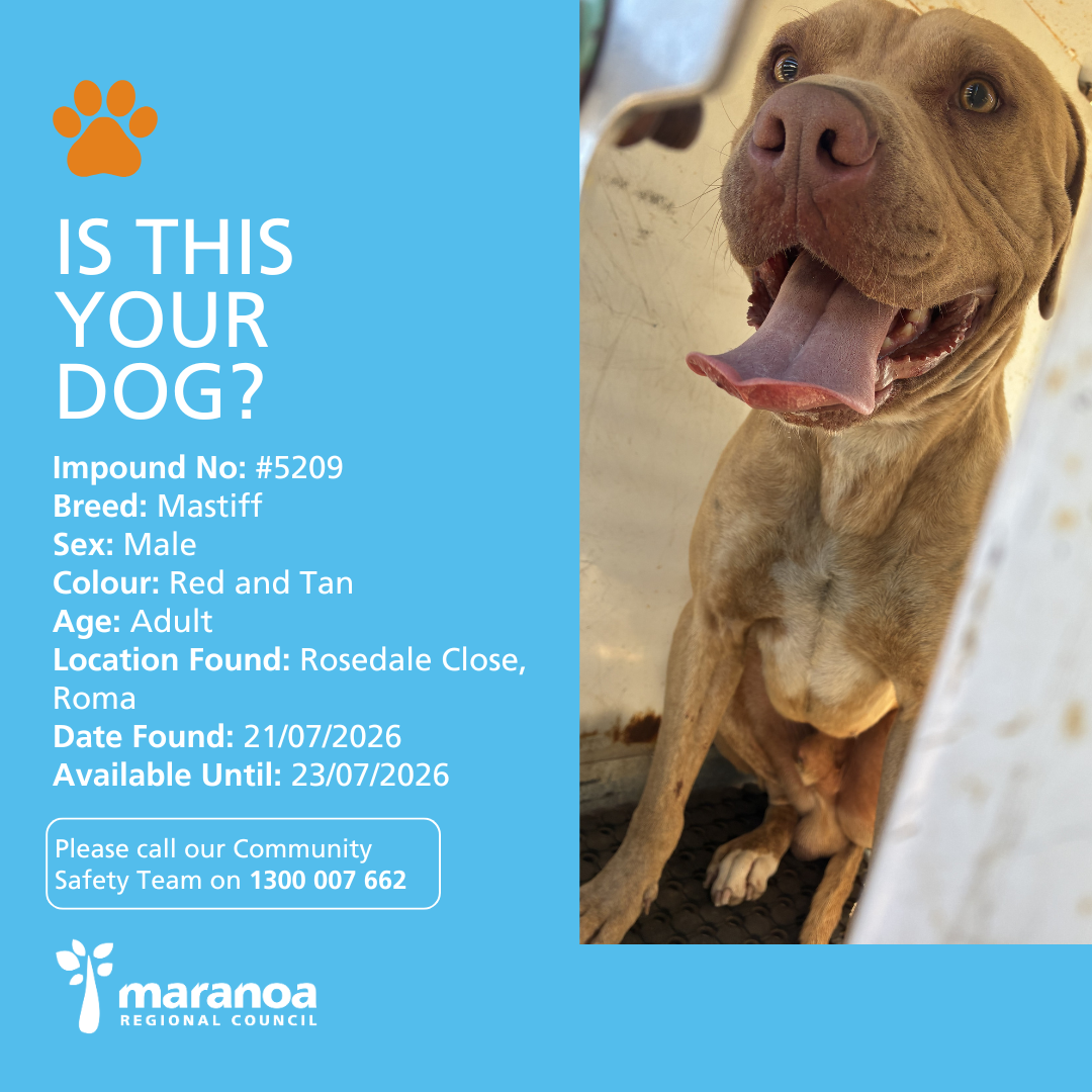 Lost Dog - 5175.png