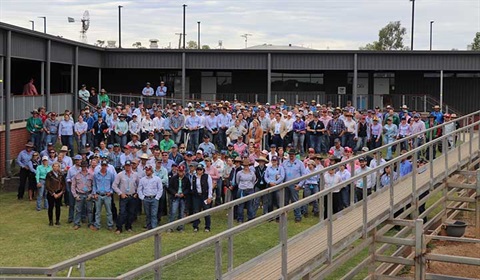 Roma Saleyards supports next generation of graziers at Young Beef Producers Forum