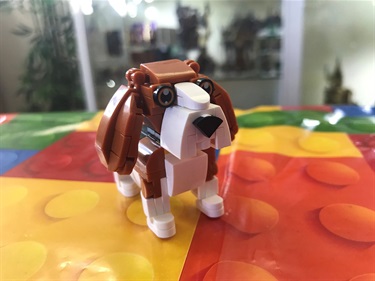 2026-Winter-Beagle-Kade.jpg