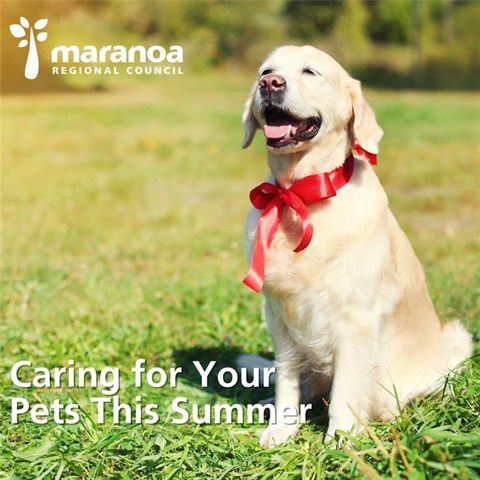 Dog Communication (1).png