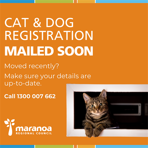 #1 Cat & Dog registration .png