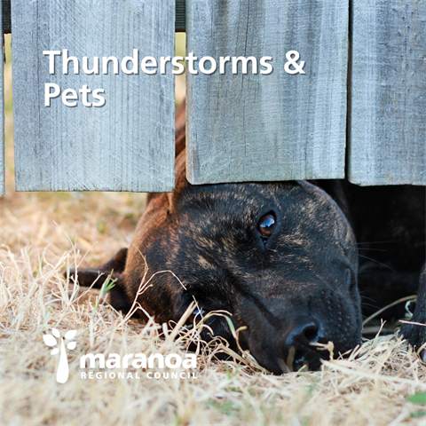 Thunderstorm scare-outs.png