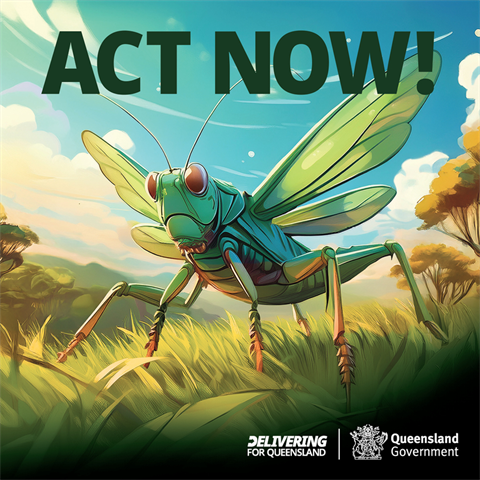 Locust communication - Social media tile.png