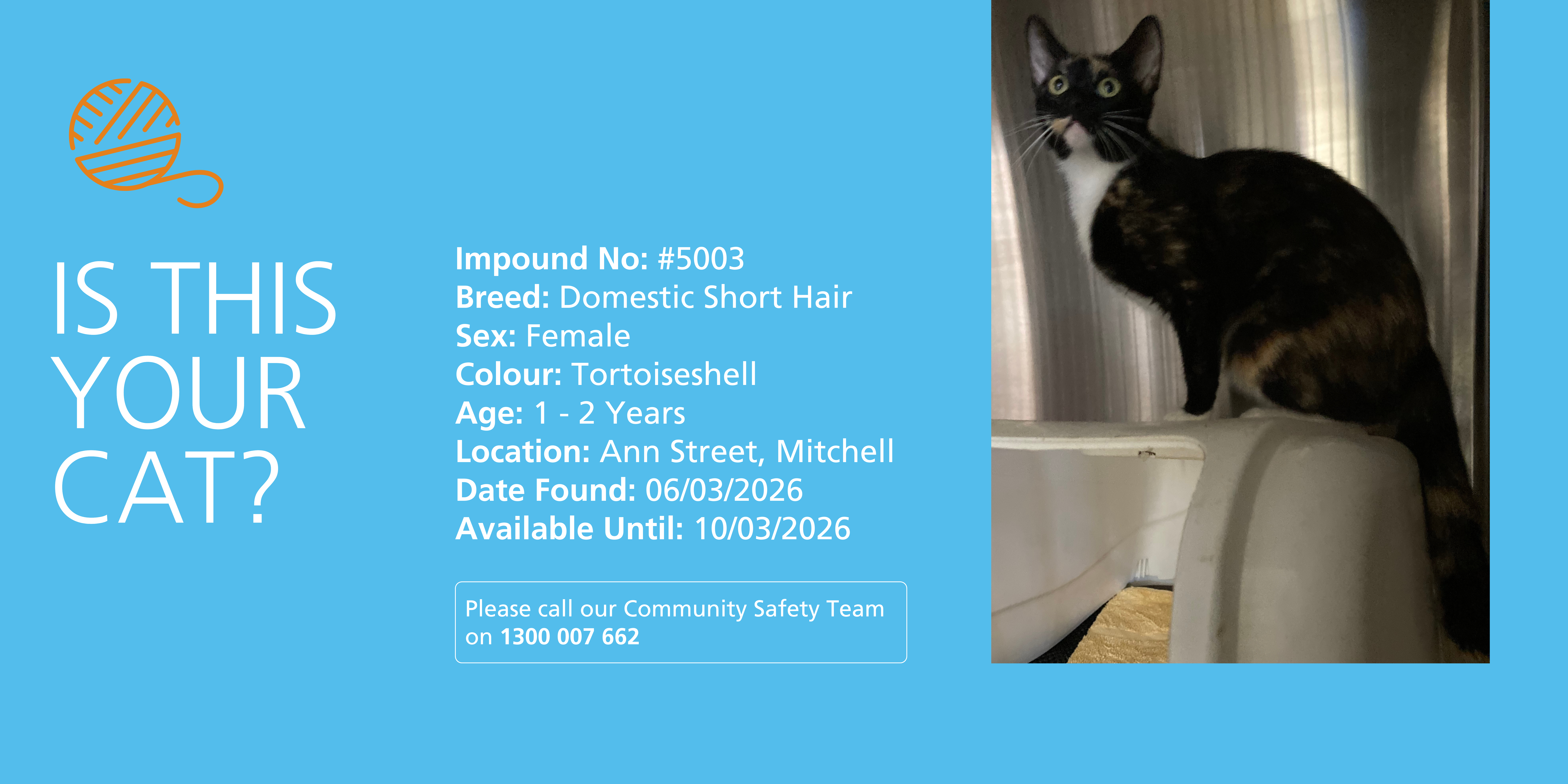 Impound 4979 (2).png