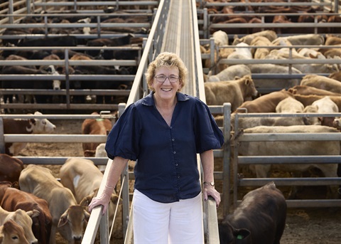 Cr Wendy Taylor Saleyards.jpg
