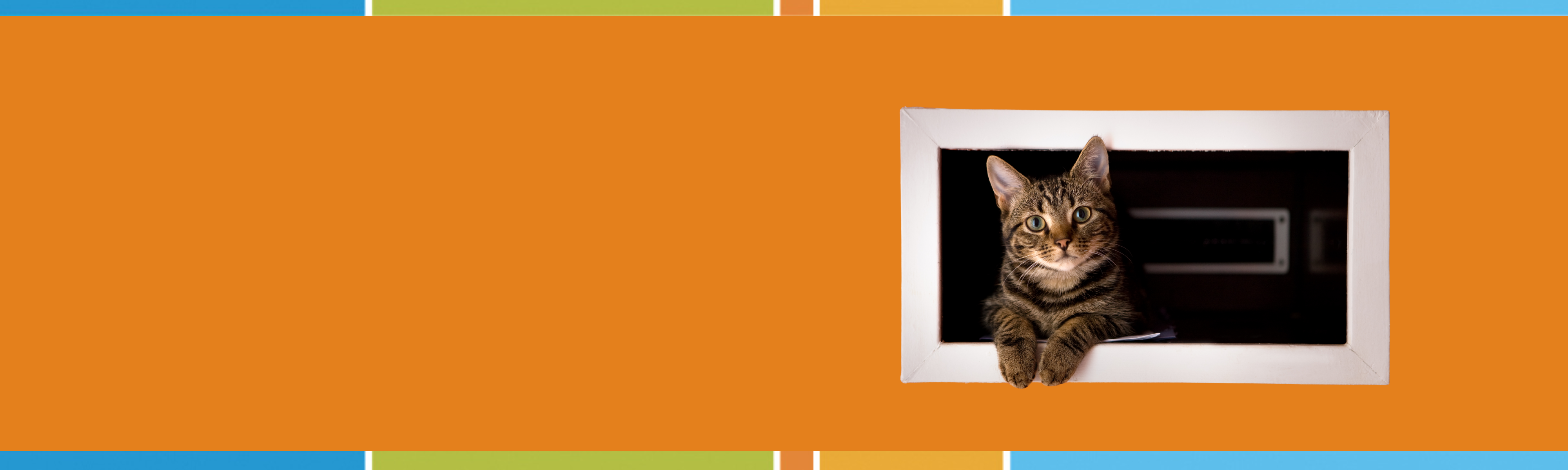 2026 Pet Rego Web Banner .png