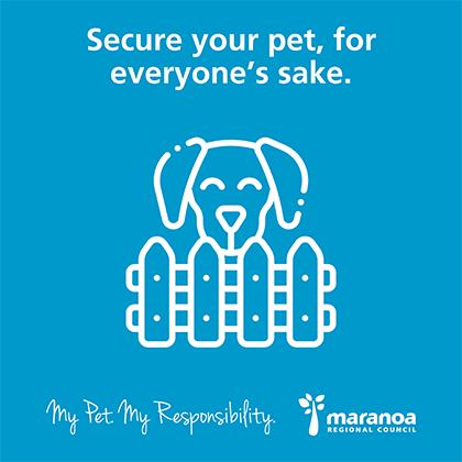 Secure your pet for everyone's sake.