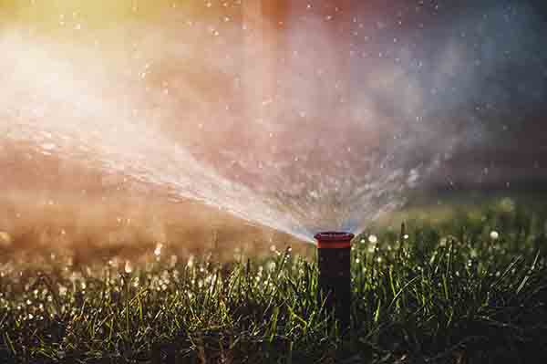 WATER SCHEDULING AND CONSERVATION IN THE MARANOA