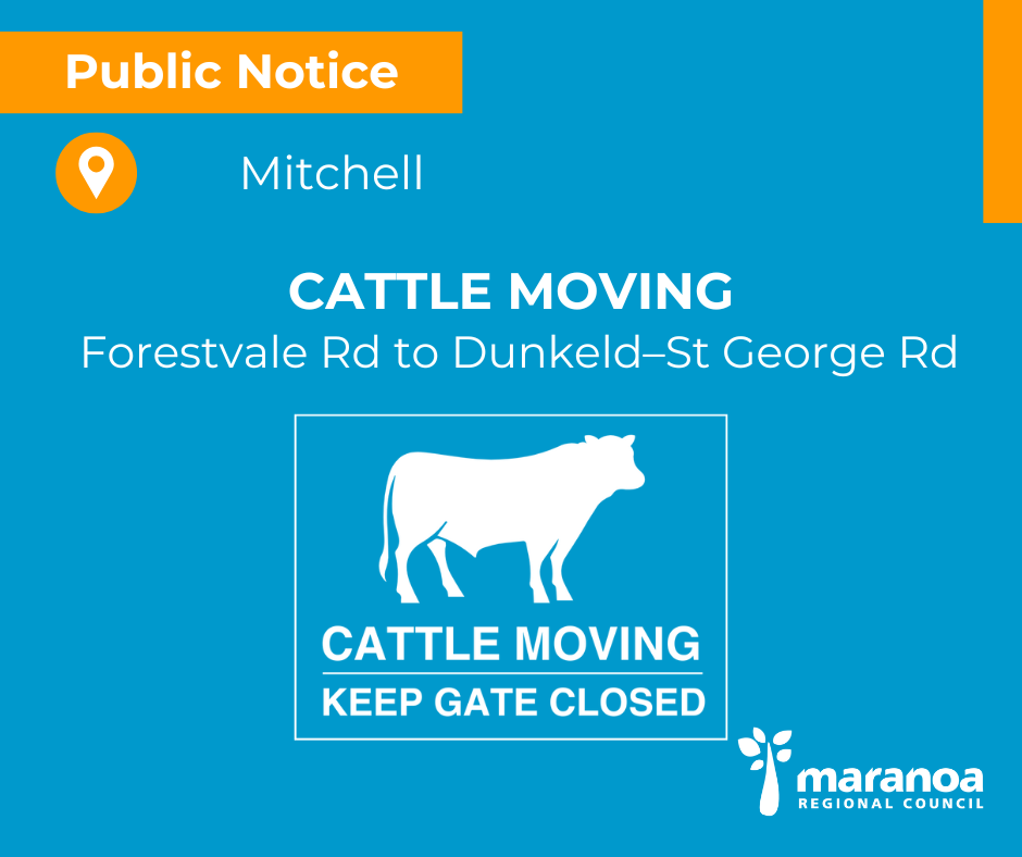 a drover will be moving approximately 1000 head of cattle through town.