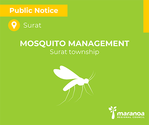 Surat program to reduce mosquito breeding.