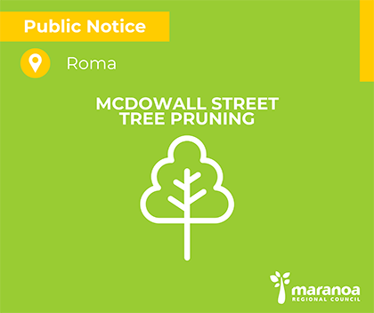 Business Notification – Tree Pruning Works on McDowall Street