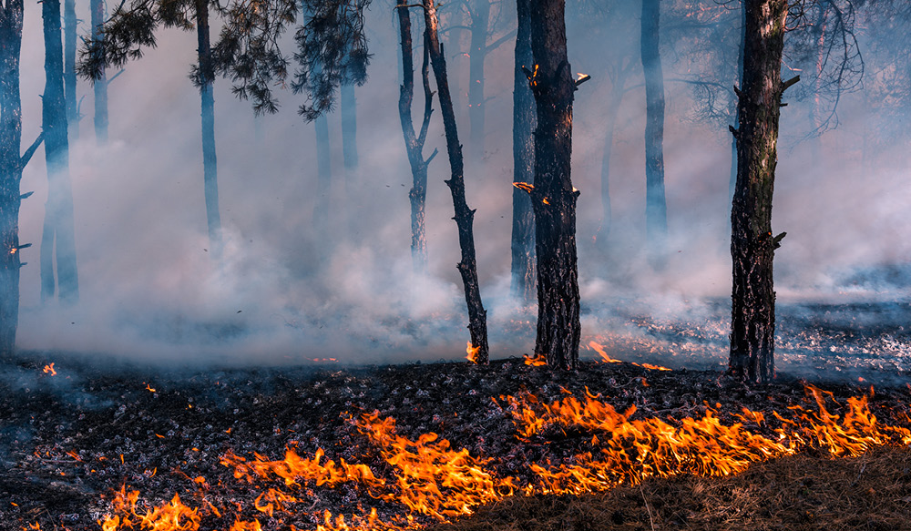 Public notice presribed burn plan