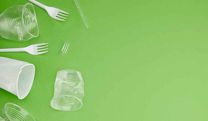 Single-use plastic ban forum in Roma
