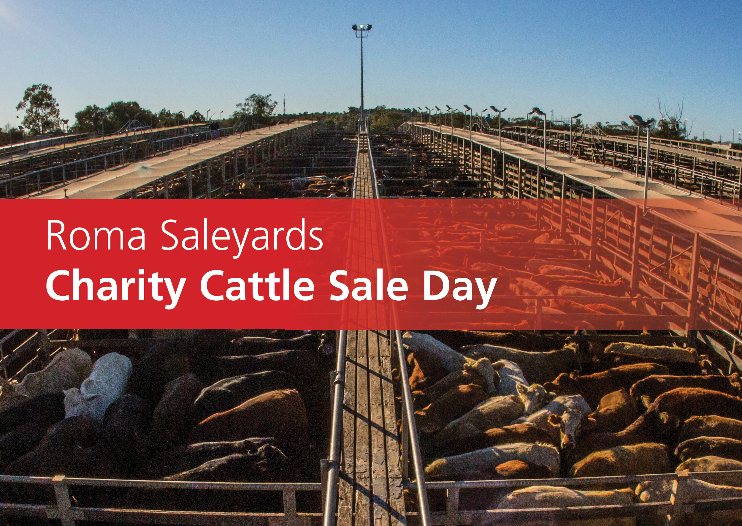 Rfds charity sale 2022