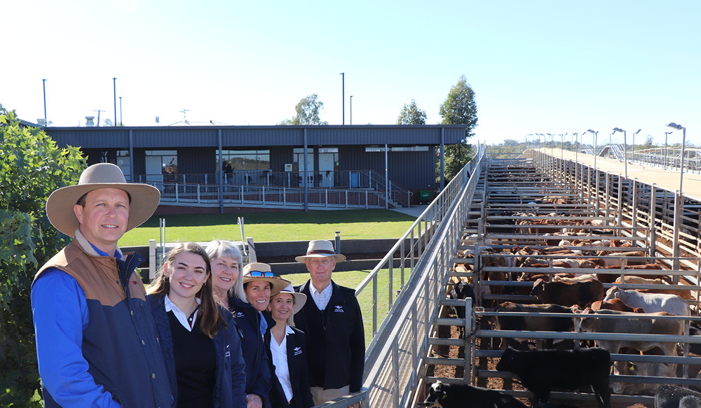 Rfds charity sale 2023