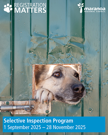 Selective Inspection Program
