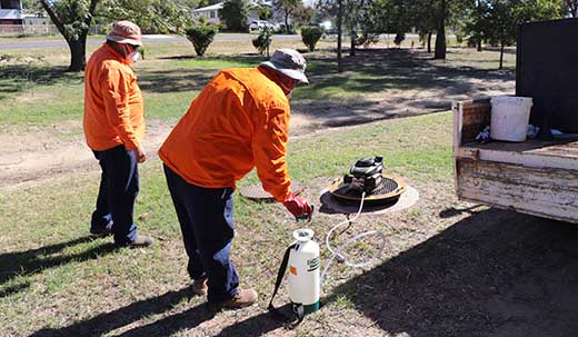Sewer manhole inspections and Cockroach fogging to commence in Roma