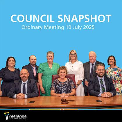 What happened in the 10 July 2025 Council Meeting