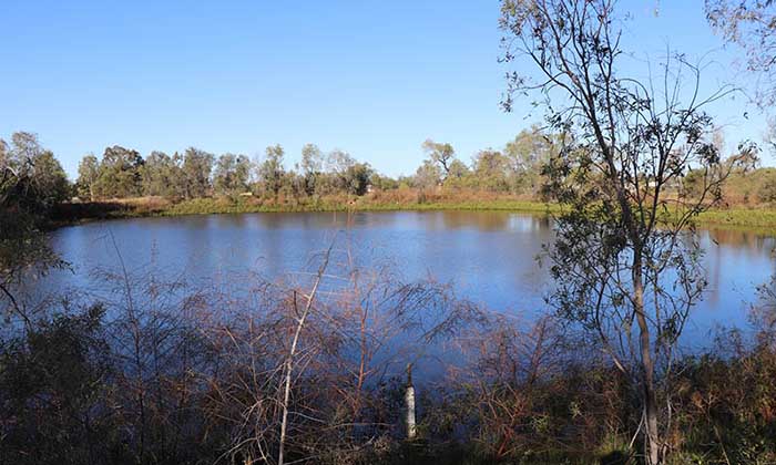 Works commence near Railway Dam to improve stormwater management for Roma