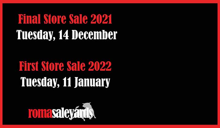 Final Roma Saleyards Store Sale for 2021