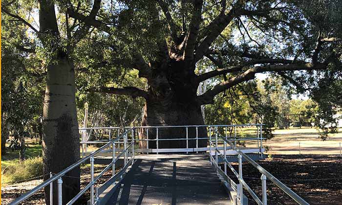 Upgrades bring new life to Adungadoo footpath