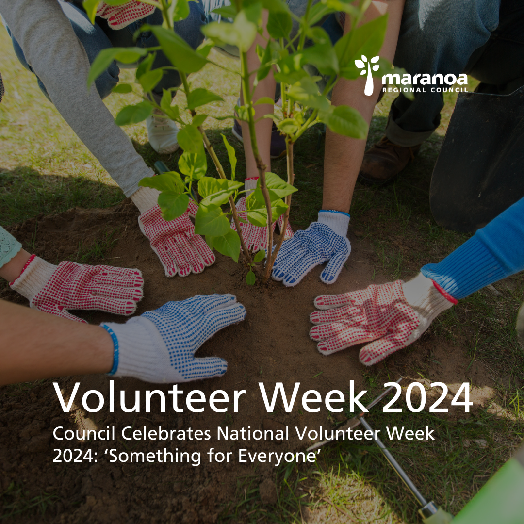 Volunteer Week 2024