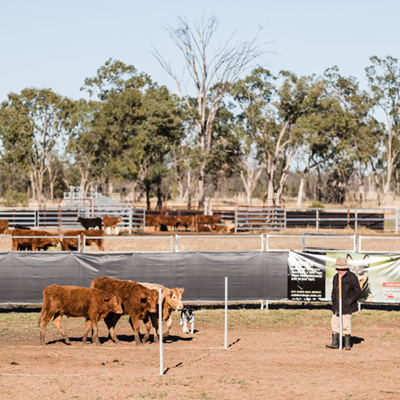 Wallumbilla