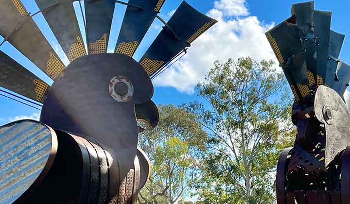 Council praises sculpture exhibition as Australian Street Art Award finalists are announced